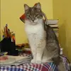 Отзыв от Мария Игнатова